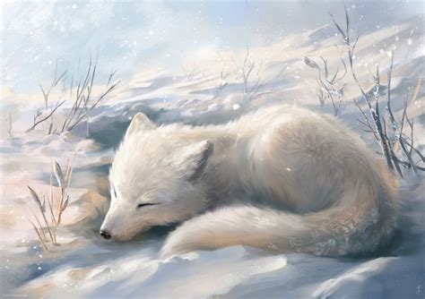 Arctic Fox, an art print by Ludvik SKP - INPRNT | Cute animal drawings ...