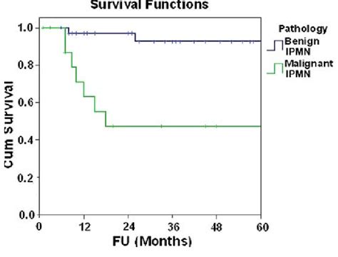 Overall survival of patients with benign or malignant IPMN | Download ...