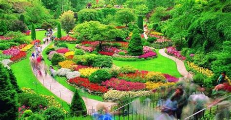 Butchart Gardens Tour | GetYourGuide