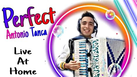 Perfect - Ed Sheeran (Live At Home) | Accordion ANTONIO TANCA Chords - Chordify