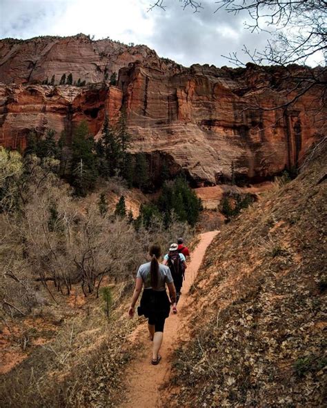 Taylor Creek South Fork Trail- Forgotten Hike in Zion National Park | Zion national park, Kolob ...