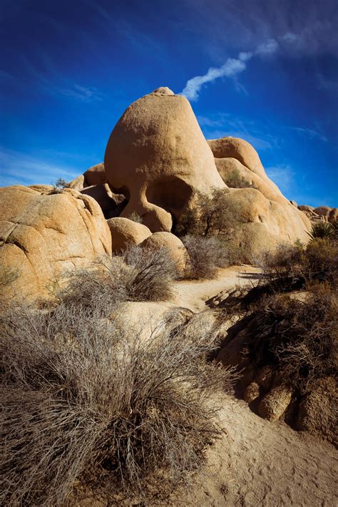 Skull Rock, Joshua Tree National Park [3456x5184] | National parks ...