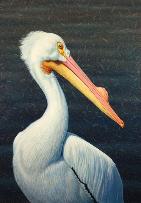 A Great White American Pelican Painting by James W Johnson - Pixels