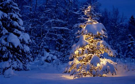 Christmas Tree Snow Wallpapers - Top Free Christmas Tree Snow Backgrounds - WallpaperAccess