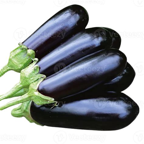 Brinjal png transparent background 29721002 PNG