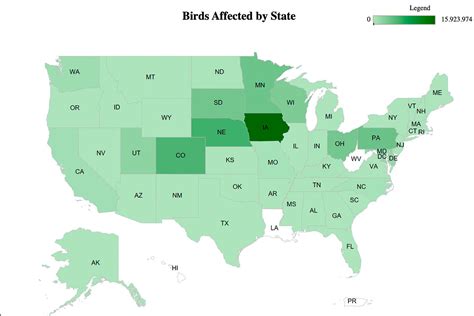 Montana Grizzlies Euthanized After Contracting Bird Flu ...