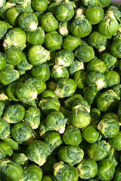 Brussels sprout - Wikipedia