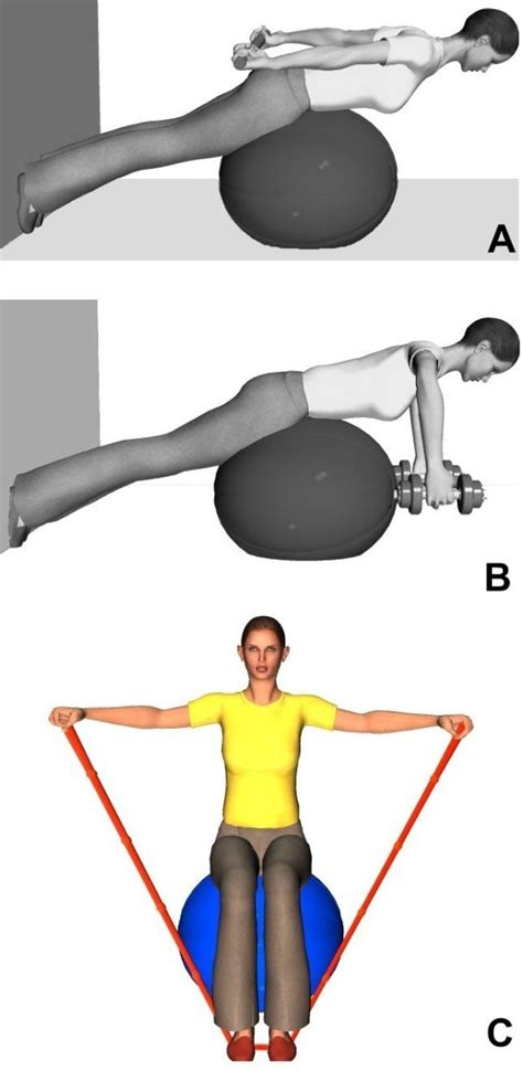 Example of paraspinal, neck and shoulder girdle muscle-strengthening ...