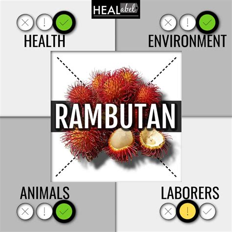 Rambutan Benefits, Side Effects: Acidic, Gluten, Vegan?