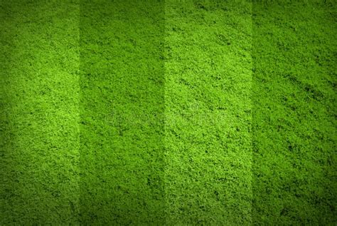 Soccer Grass Texture