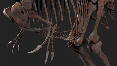 Carcharodontosaurus Skeleton 3D model | CGTrader