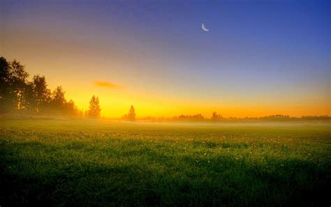 Free photo: Grass Field and Trees during Sunset - Beautiful, Light, Sunset - Free Download - Jooinn