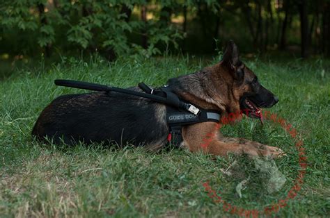 Mobility Support 【Harness-Working/Guide/Assistance】 Dog Harness : German Shepherd Breed: Dog ...