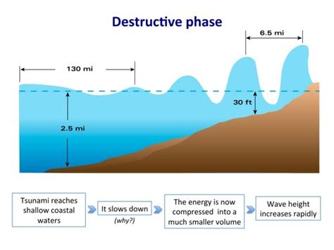 Alaska Tsunami Researcher Urges Education and Preparedness