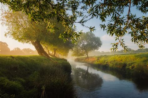 Small River Trees Dreamy, trees, nature, graphy, HD wallpaper | Peakpx