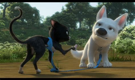 cute pictures of Bolt and Mittens - Disney's Bolt Image (5261745) - Fanpop