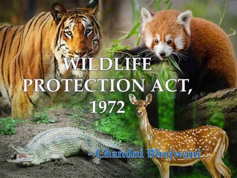 Wildlife protection act, 1972