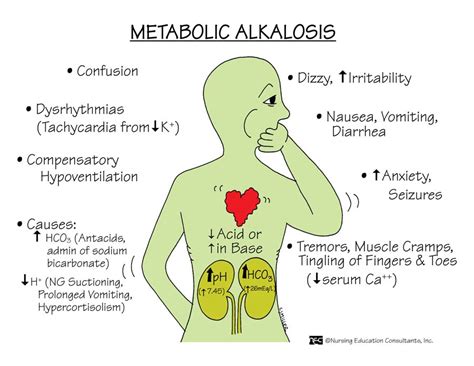 Metabolic Alkalosis.jpg: NUR102 _04939_FUNDAMENTALS OF NURSING