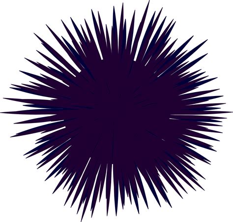 Sea Urchin Clipart Design Graphic by MyBeautifulFiles · Creative - Clip ...