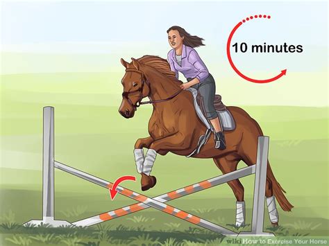 4 Ways to Exercise Your Horse