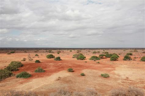 Arid Bushland - Dry Forest, Landscapes, Tsavo East NP, Sep… | Flickr