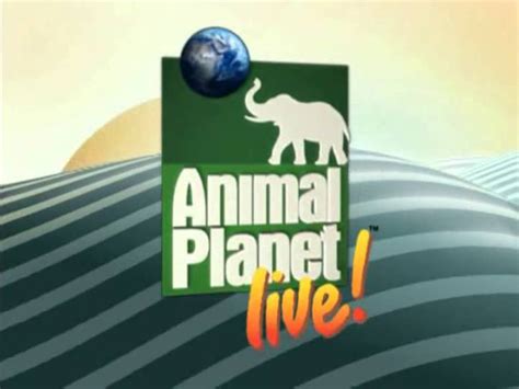 Universal Animal Logo