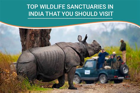 The Top 10 Wildlife Sanctuaries in India - Safari deal