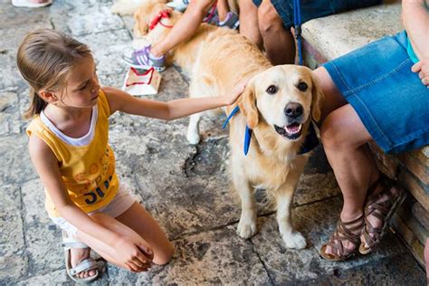 Therapy Dogs Reduce ADHD Symptoms in Kids, Study Shows – Top Dog Tips