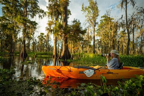 Louisiana Swamp Photography Tour | $250 Per Person | NOLA Adventures