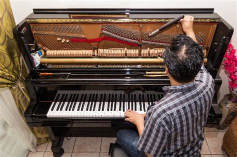 Piano Tuning | ubicaciondepersonas.cdmx.gob.mx