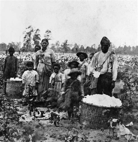 plantation-slaves - Slave Life Pictures - Slavery in America - HISTORY.com