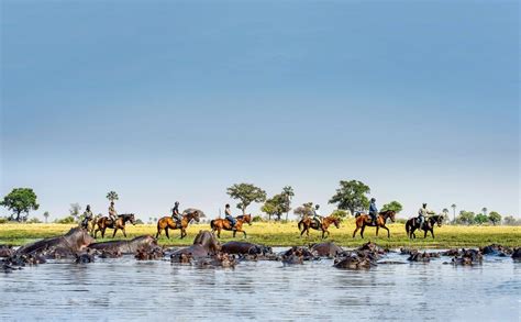 Gallop alongside giraffes, warthogs, and more on a riding safari in Botswana's Okavango Delta ...