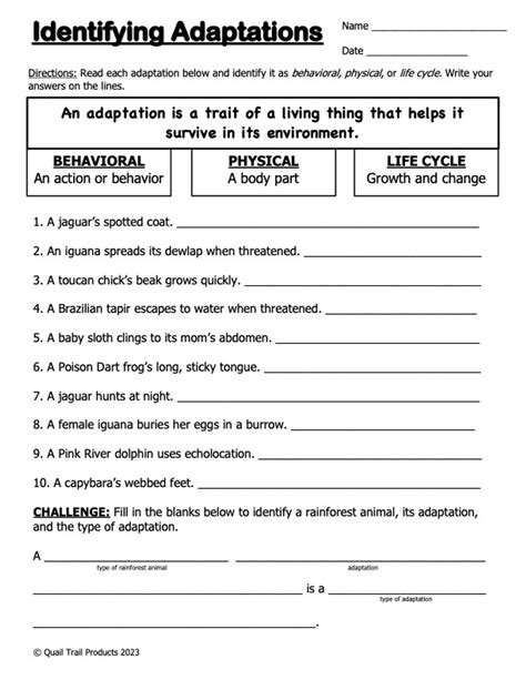 Animal Adaptations in the Rainforest Habitat Activities and Worksheets