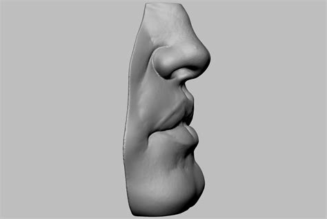 Mouth Anatomy 3D Model - TurboSquid 1540550