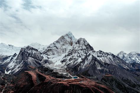 万事胜意水果插画(风景静态壁纸) - 静态壁纸下载 - 元气壁纸