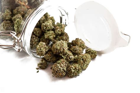 What Does ‘OG’ Mean? Top 5 OG Strains - Herb Approach