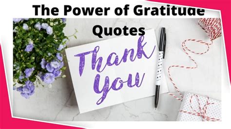 The Power of Gratitude Quotes | Gratitude quotes, Quotes, Power