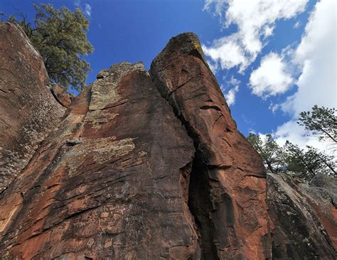 Kaibab National Forest - Home