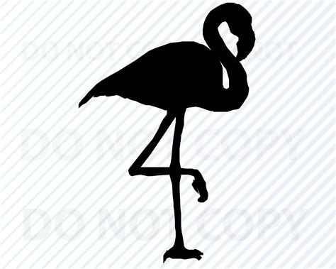 Flamingo SVG Files Flamingo Clip Art Flamingo Silhouette - Etsy Australia