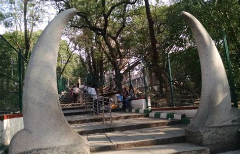 Bull Temple Bangalore, Timings, History, Location, Images