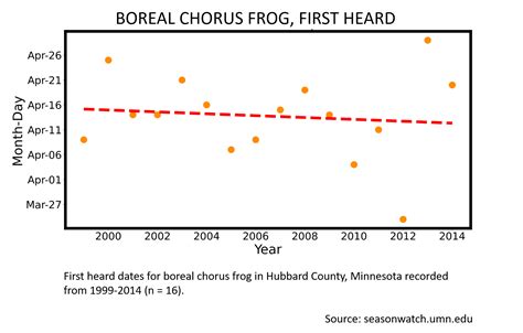 Boreal chorus frog | Season Watch