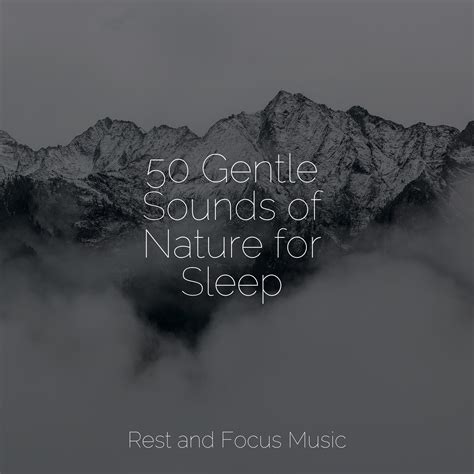 Groove in the Grove - Pet Care Music Therapy/Relaxation Sleep ...