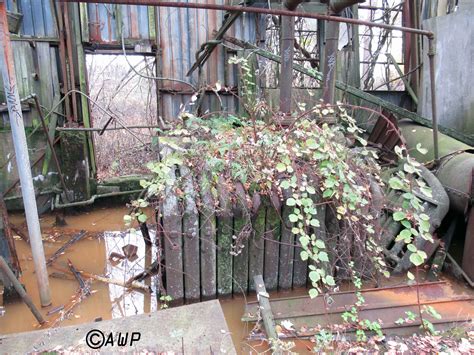 Abandoned Wonders | Exploring Abandoned Locations in New England