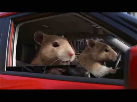 Kia Soul 2010 Hamster Commercial - YouTube