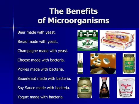 PPT - Microorganisms and Their Environment PowerPoint Presentation, free download - ID:27845