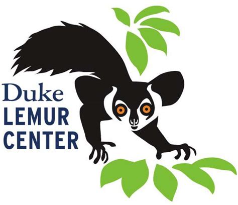 Duke Lemur Center – Lemur Conservation Network