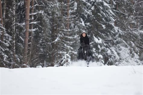 Black Horse Running in Snow on Winter Background Stock Photo - Image of ...