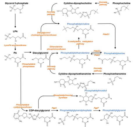 Figure1