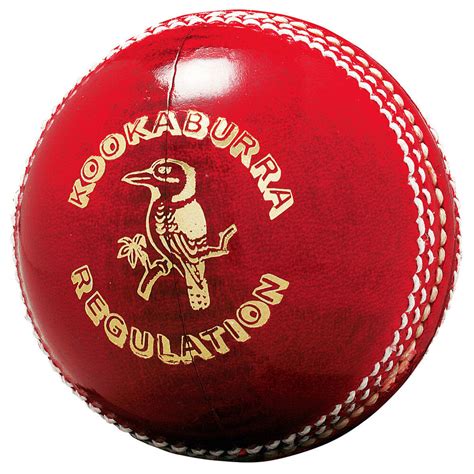 Kookaburra Regulation 156g Senior Cricket Ball | Rebel Sport