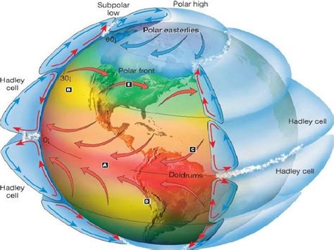 Global and local winds